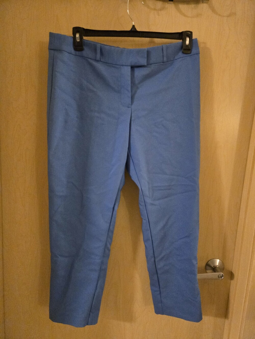 Liz Claiborne Emma Classic Blue Ankle Pants (12)